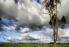 2007年欧洲冠军联赛决赛有哪些经典时刻和深远影响？